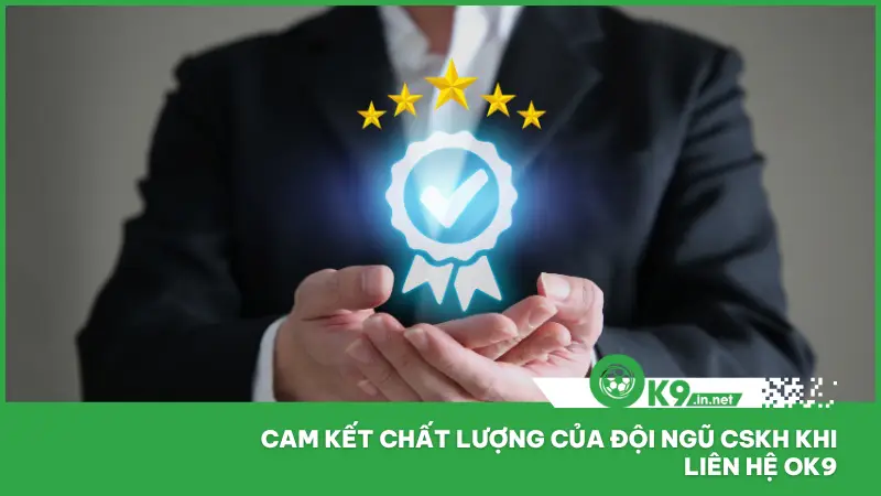 Liên Hệ Ok9 1 Ok9 đã thiết lập hệ thống hỗ trợ với quy trình phản hồi rõ ràng và nhất quán