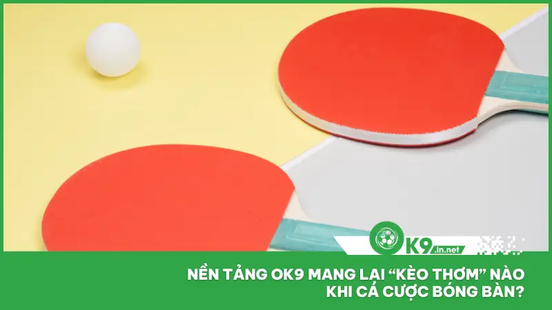 Cá cược bóng bàn tại ok9 đang trở thành lựa chọn được nhiều người chơi ưa chuộng