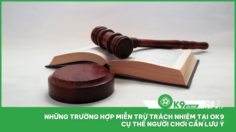 Miễn Trừ Trách Nhiệm 2 Những trường hợp thực tế mà miễn trừ trách nhiệm của ok9 sẽ được áp dụng