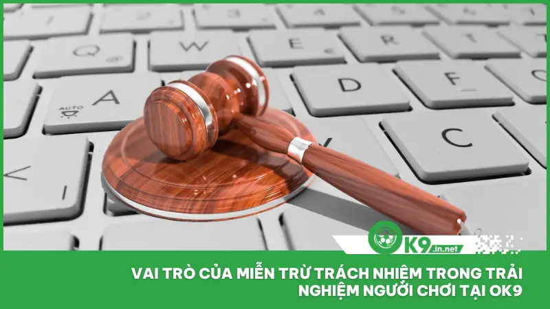 Miễn Trừ Trách Nhiệm 3 Đóng vai trò rất quan trọng trong việc bảo vệ quyền lợi người chơi