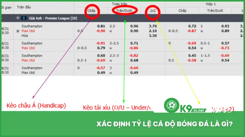 Tỷ lệ cá độ bóng đá thể hiện xác suất và mức thưởng cho kết quả trận đấu